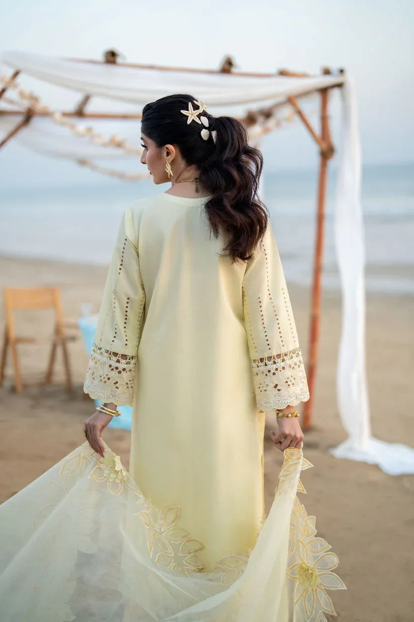 Aabyaan | Saagar Luxury Lawn 25 | SOFINA (AS-07) - Rang-e-Khaas