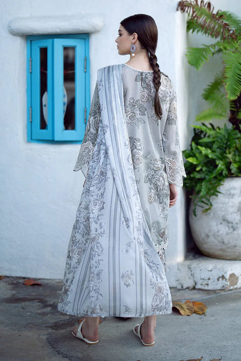 Baroque | Lawn Collection 24 | UF-557 - Rang-e-Khaas