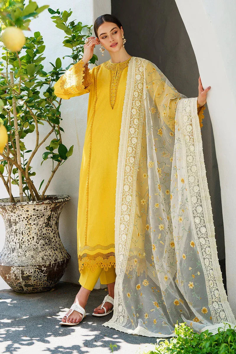 Baroque | Lawn Collection 24 | UF-562 - Rang-e-Khaas