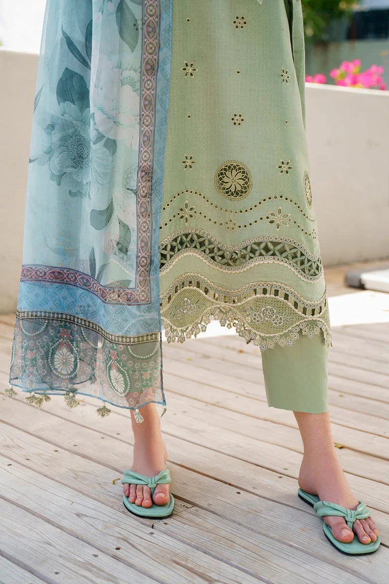 Baroque | Lawn Collection 24 | UF-565 - Rang-e-Khaas
