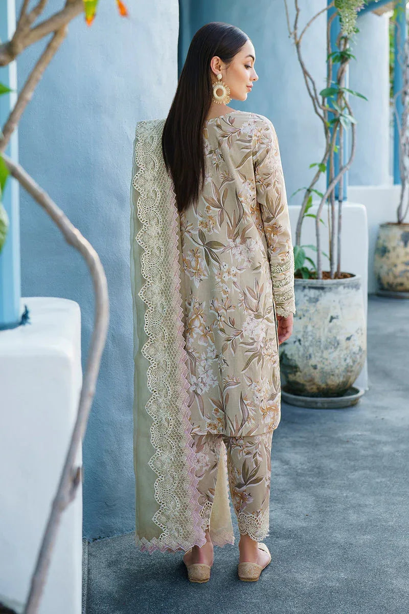 Baroque | Lawn Collection 24 | UF-568 - Rang-e-Khaas