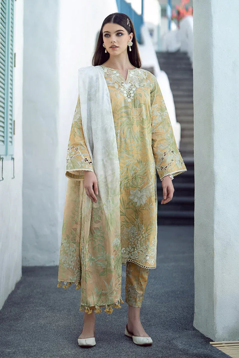 Baroque | Lawn Collection 24 | UF-542 - Rang-e-Khaas
