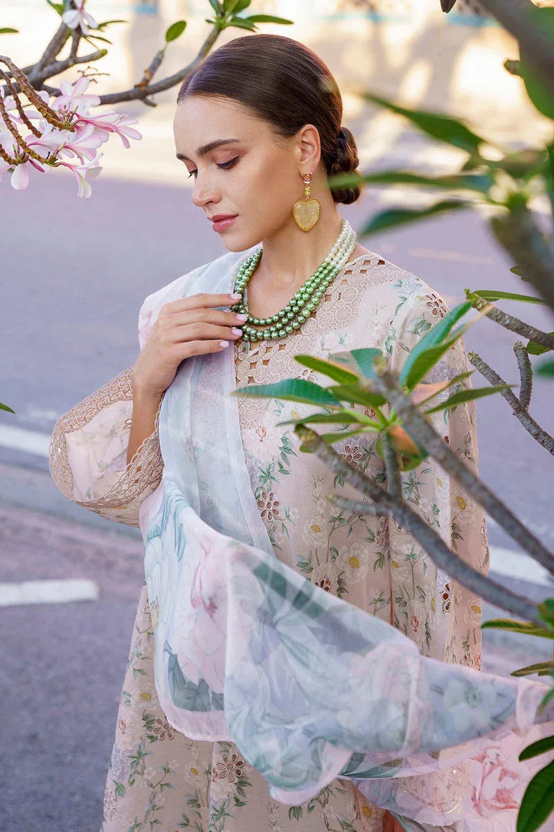 Baroque | Lawn Collection 24 | UF-591 - Rang-e-Khaas
