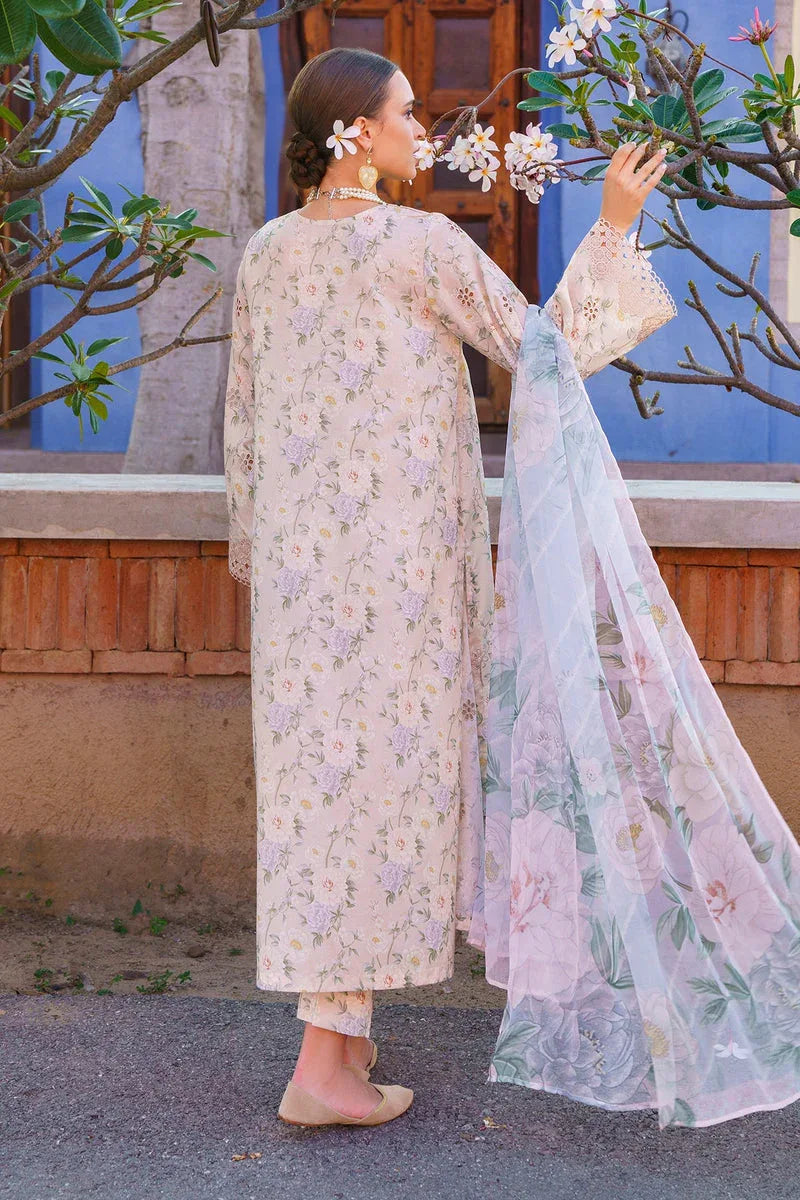 Baroque | Lawn Collection 24 | UF-591 - Rang-e-Khaas