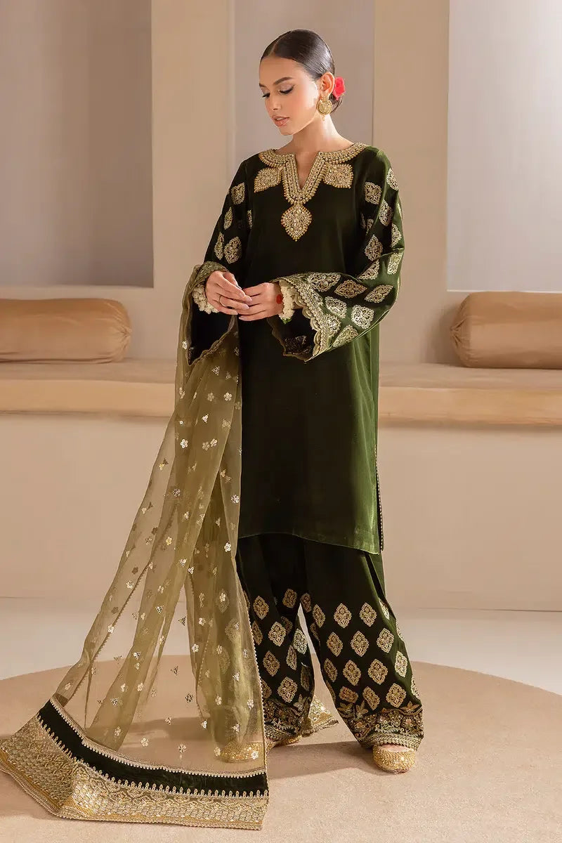 Baroque | Jahanara Luxury Velvet 23 | UF-425 - Rang-e-Khaas