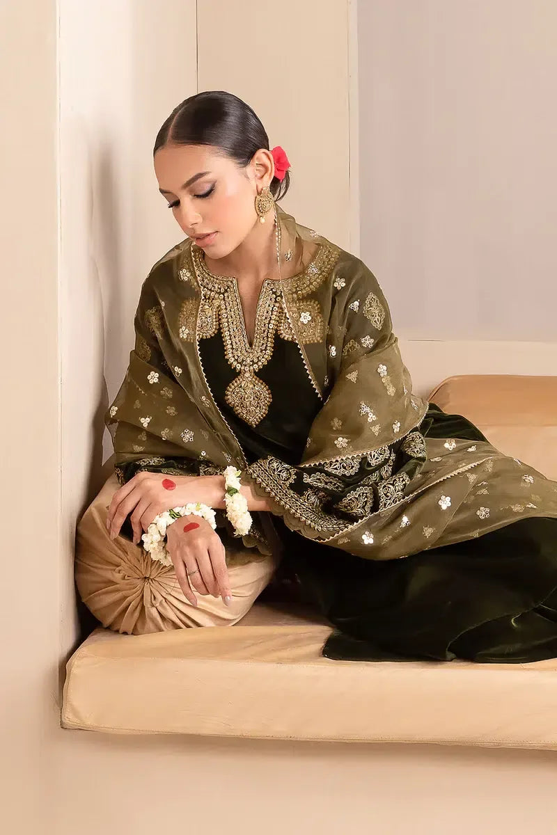 Baroque | Jahanara Luxury Velvet 23 | UF-425 - Rang-e-Khaas