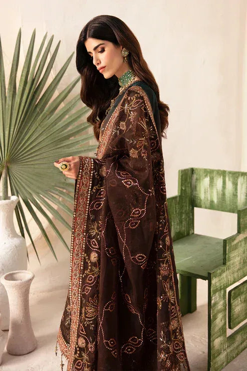 Alizeh | Heer Festive Collection 24 | Hazel - V17D01 - Rang-e-Khaas