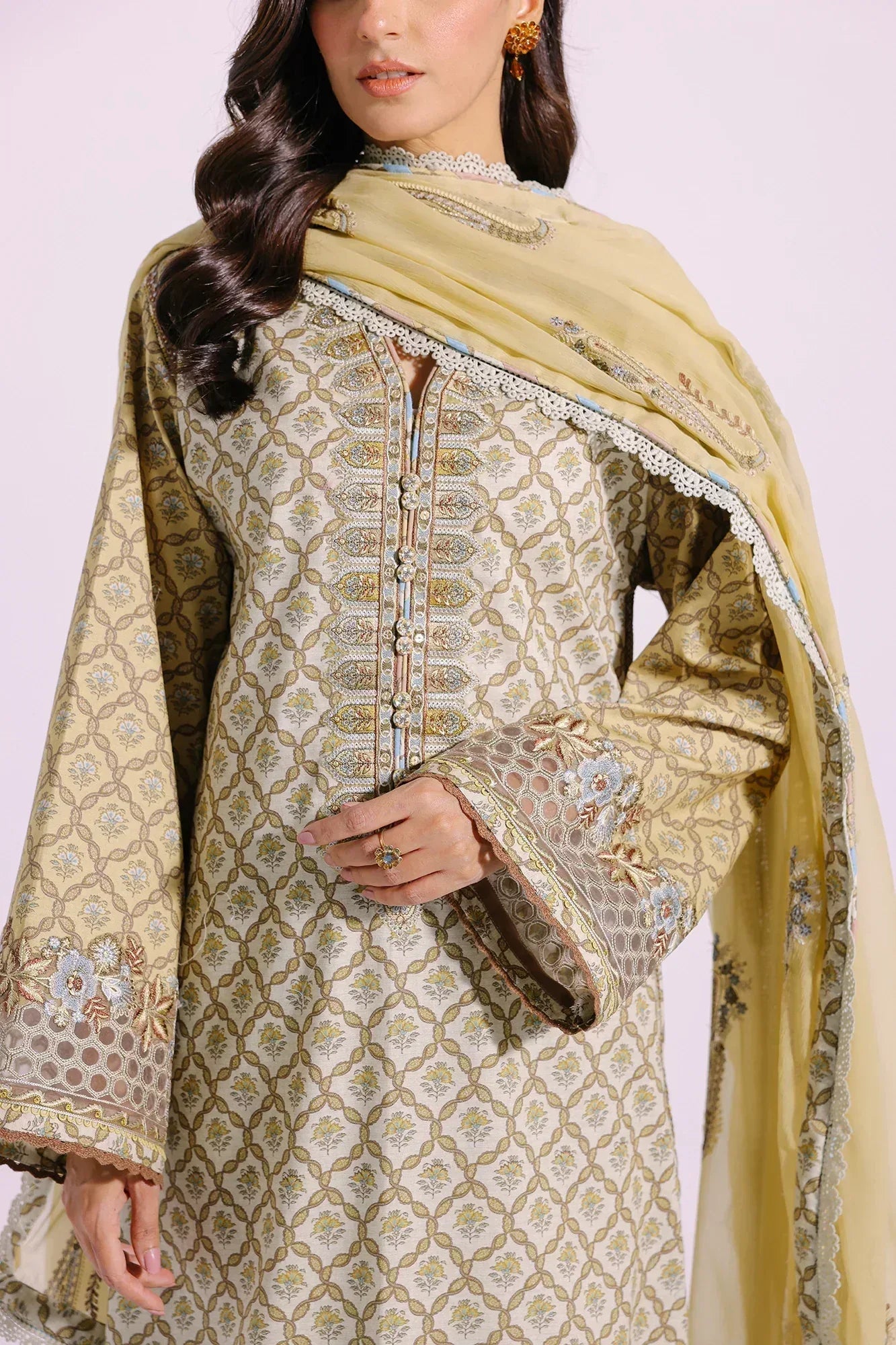 Ethnic | Rozana Collection SS 24 | E0404/203/130 - Rang-e-Khaas