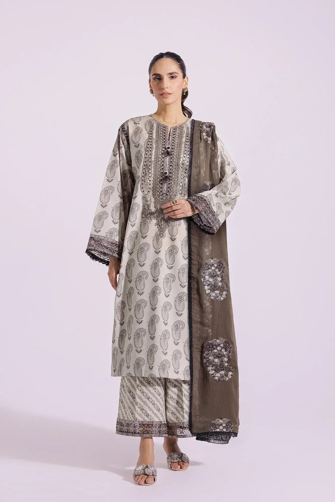 Ethnic | Rozana Collection SS 24 | E0411/203/110 - Rang-e-Khaas