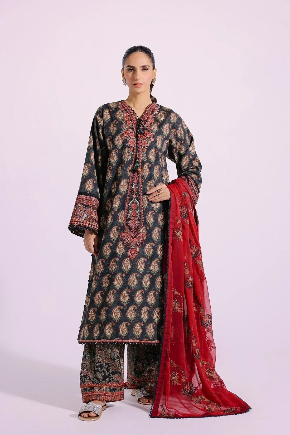 Ethnic | Rozana Collection SS 24 | E0414/203/116 - Rang-e-Khaas