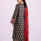 Ethnic | Rozana Collection SS 24 | E0414/203/116
