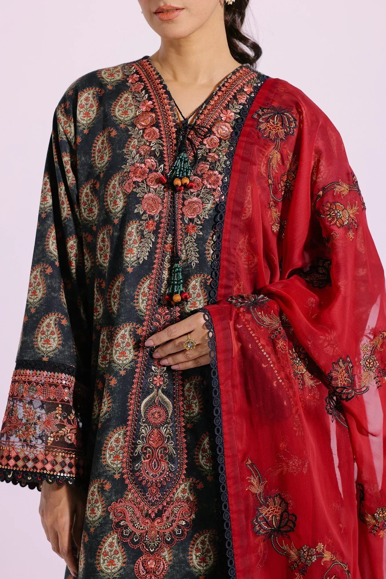 Ethnic | Rozana Collection SS 24 | E0414/203/116 - Rang-e-Khaas