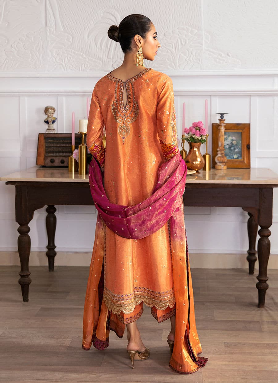 Farah Talib Aziz | Mayna Festive Luxe | ALEEN APRICOT - Rang-e-Khaas