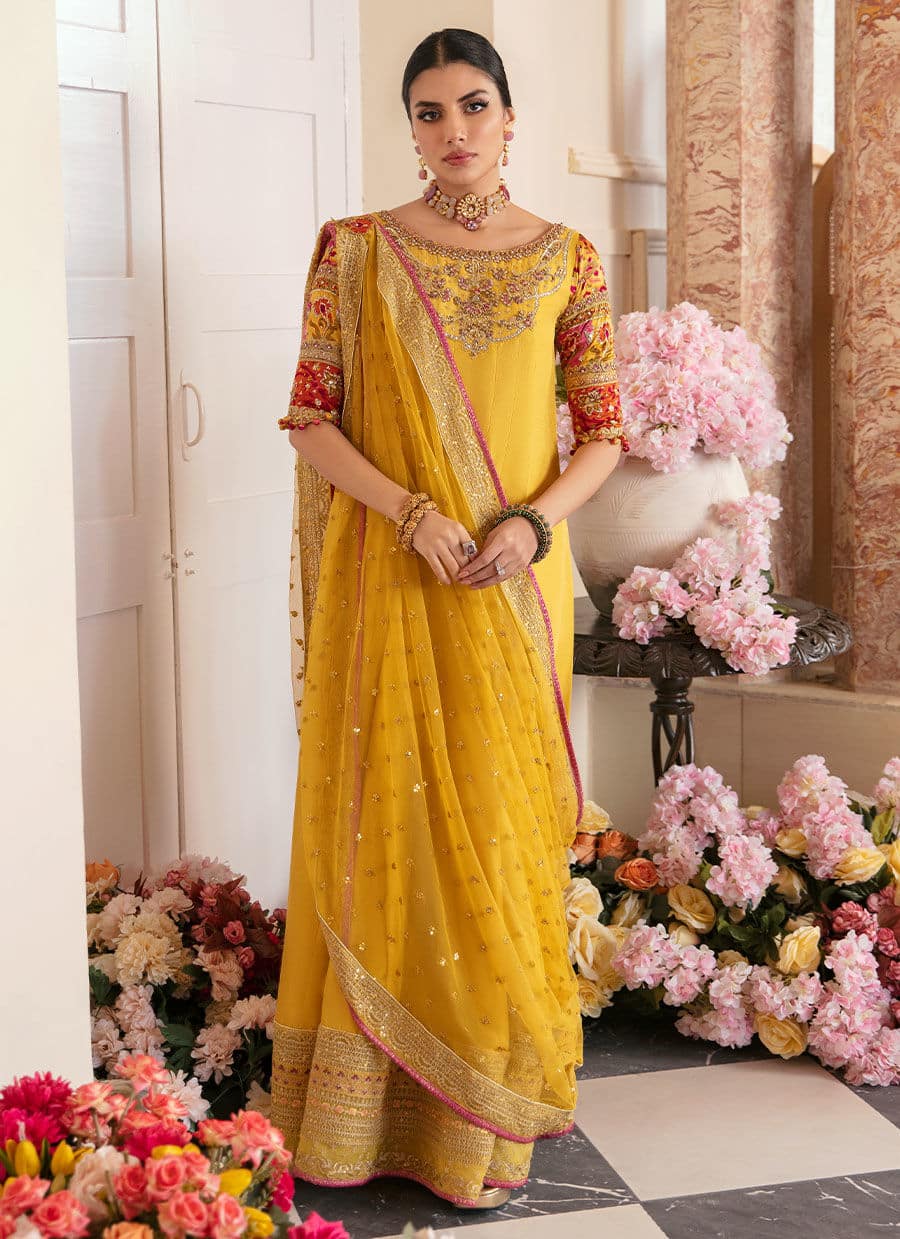 Farah Talib Aziz | Mayna Festive Luxe | AQIQ KIWI - Rang-e-Khaas