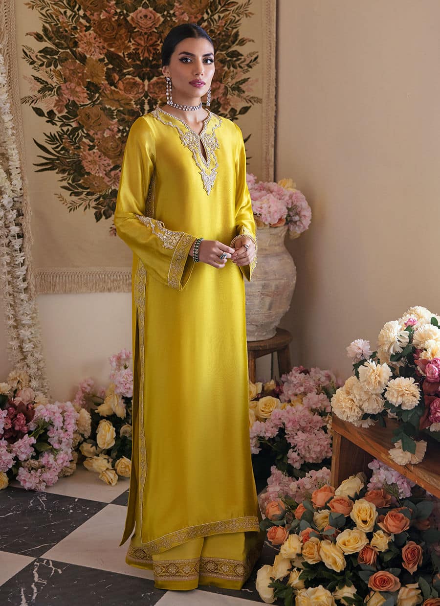Farah Talib Aziz | Mayna Festive Luxe | Veesta Lime - Rang-e-Khaas