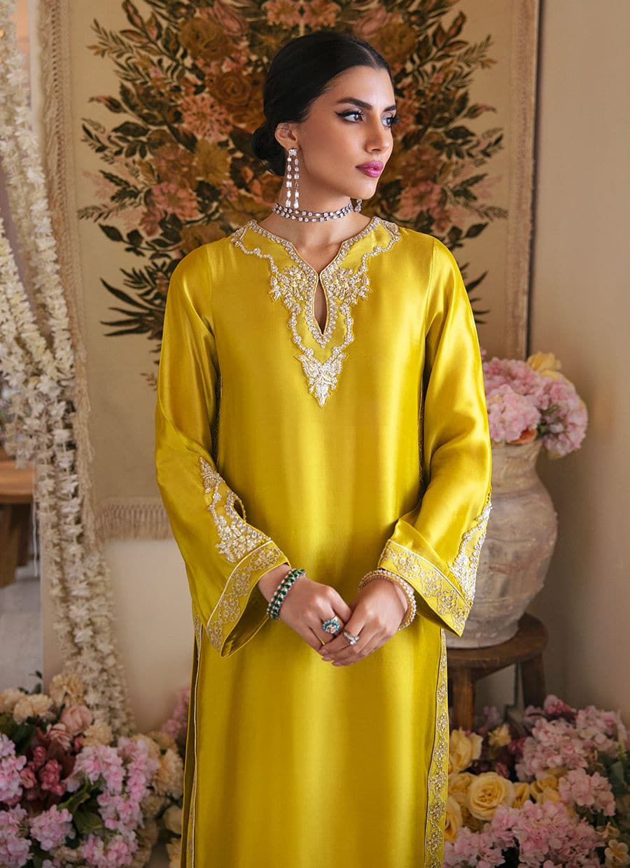 Farah Talib Aziz | Mayna Festive Luxe | Veesta Lime - Rang-e-Khaas