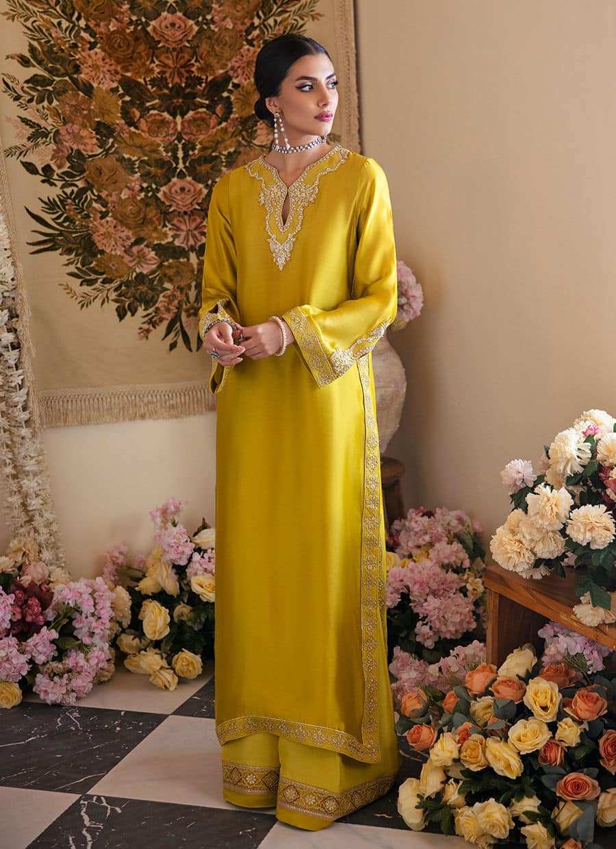 Farah Talib Aziz | Mayna Festive Luxe | Veesta Lime - Rang-e-Khaas