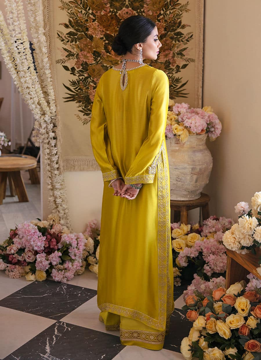 Farah Talib Aziz | Mayna Festive Luxe | Veesta Lime - Rang-e-Khaas