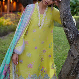 Farah Talib Aziz | Suay Lawn 24 | KELAYA KIWI
