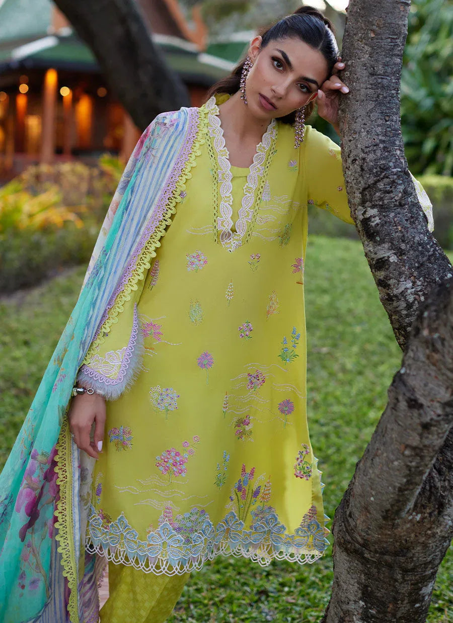 Farah Talib Aziz | Suay Lawn 24 | KELAYA KIWI - Rang-e-Khaas