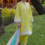 Farah Talib Aziz | Suay Lawn 24 | KELAYA KIWI