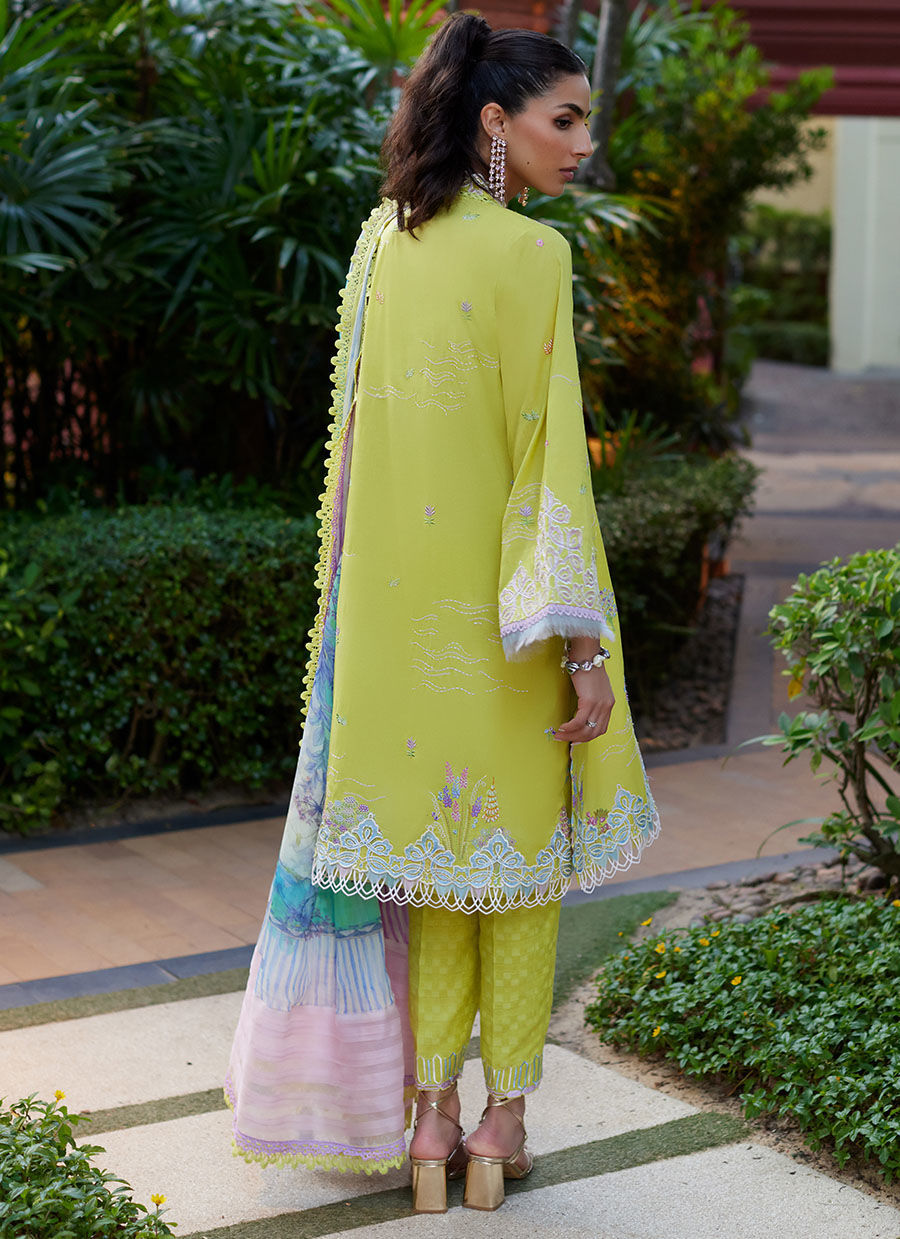 Farah Talib Aziz | Suay Lawn 24 | KELAYA KIWI