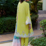 Farah Talib Aziz | Suay Lawn 24 | KELAYA KIWI