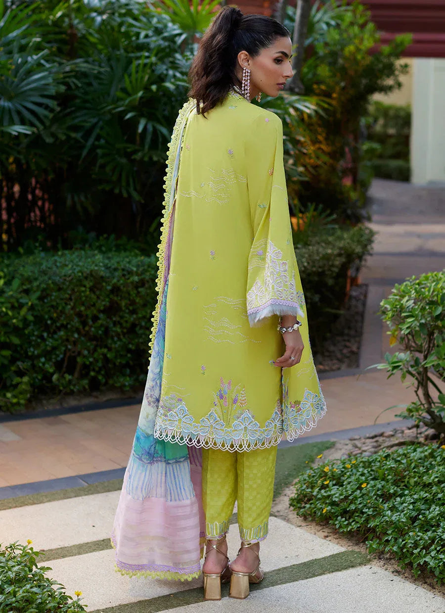 Farah Talib Aziz | Suay Lawn 24 | KELAYA KIWI - Rang-e-Khaas