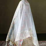 Ramsha | Festive Collection 25 | E-306