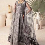 Alizeh | Heer Festive Collection 24 | ZOHAL- V17D07