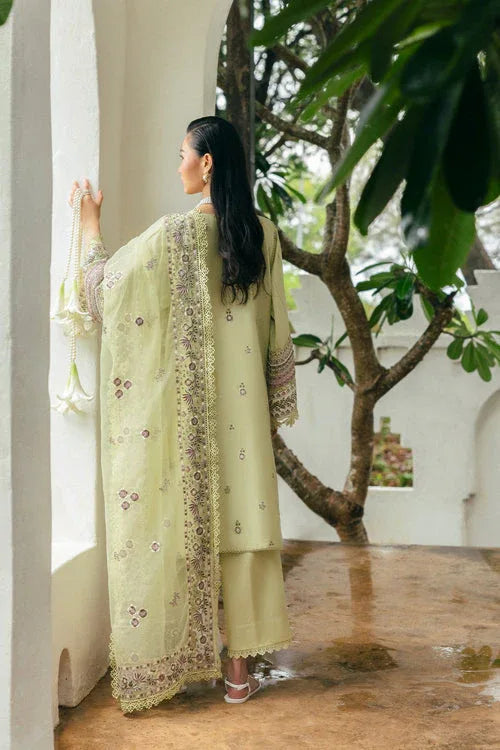 Saira Rizwan | Sajri Festive | ELAN SREP01-25 - Rang-e-Khaas