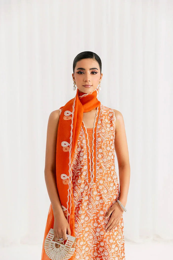 Saira Rizwan | Silk Pret 25 | EIRA - Rang-e-Khaas