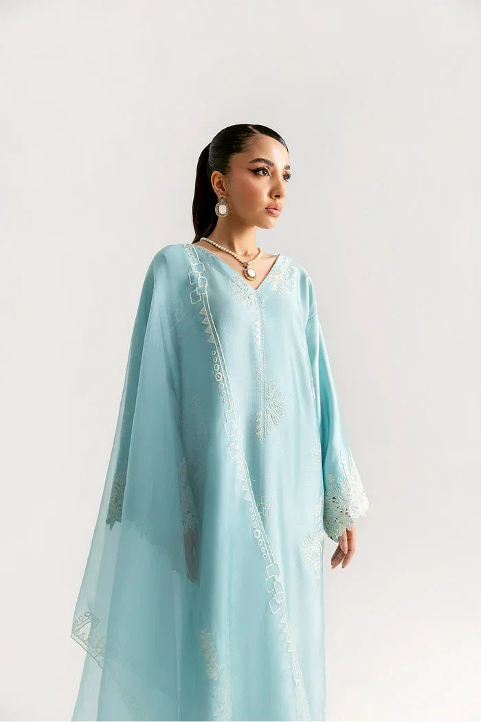 Saira Rizwan | Silk Pret 25 | NERIAH - Rang-e-Khaas