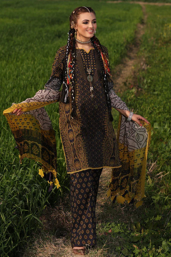 Charizma | Signature Print Vol 1 | SP4-07 - Rang-e-Khaas