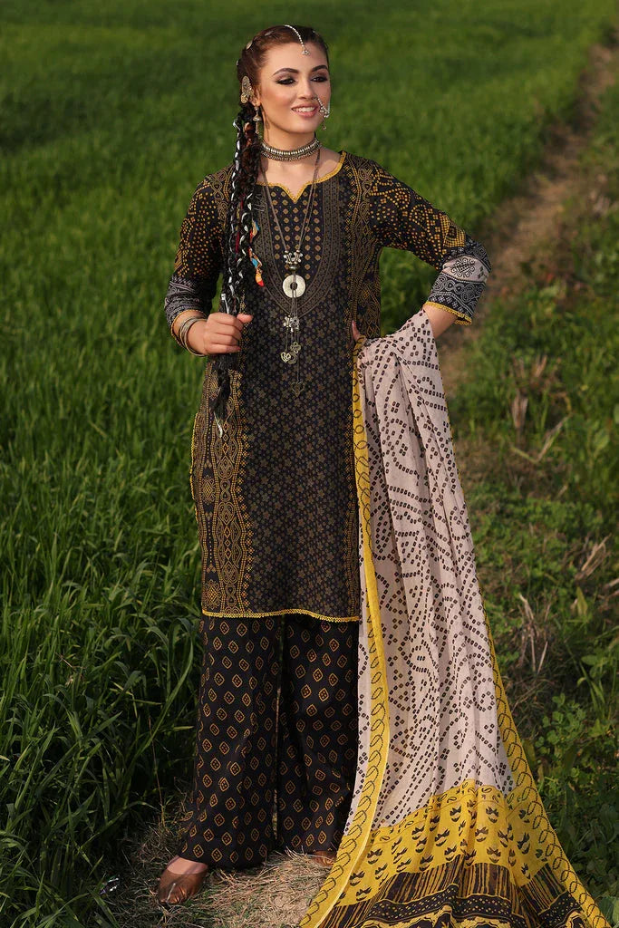 Charizma | Signature Print Vol 1 | SP4-07 - Rang-e-Khaas