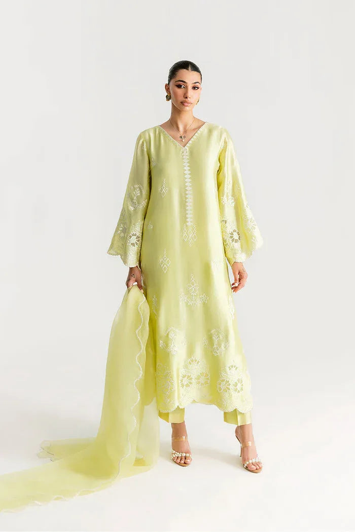 Saira Rizwan | Silk Pret 25 | SAHARA - Rang-e-Khaas