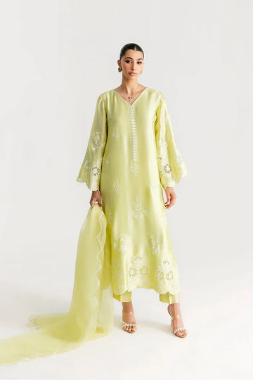 Saira Rizwan | Silk Pret 25 | SAHARA - Rang-e-Khaas