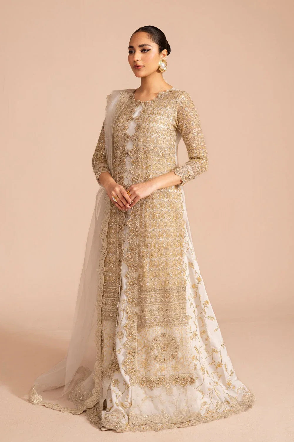 Maryum N Maria | Zircon Formals | JALEH - MS40076 - Rang-e-Khaas