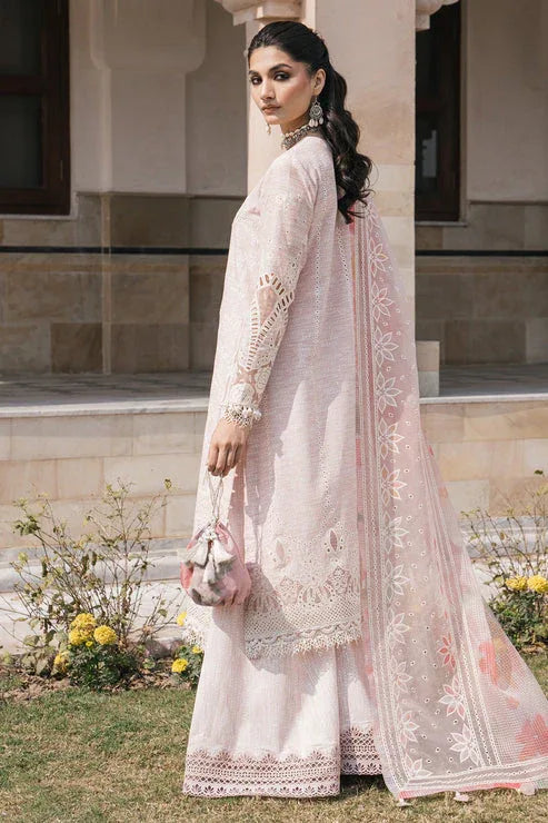 Jazmin | Shahkaar Luxury Lawn 24 | SL24-D8 - Rang-e-Khaas