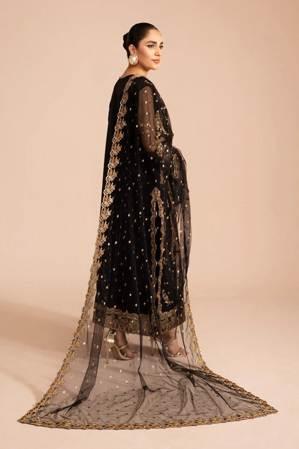 Maryum N Maria | Zircon Formals | LALEH - MS40080 - Rang-e-Khaas