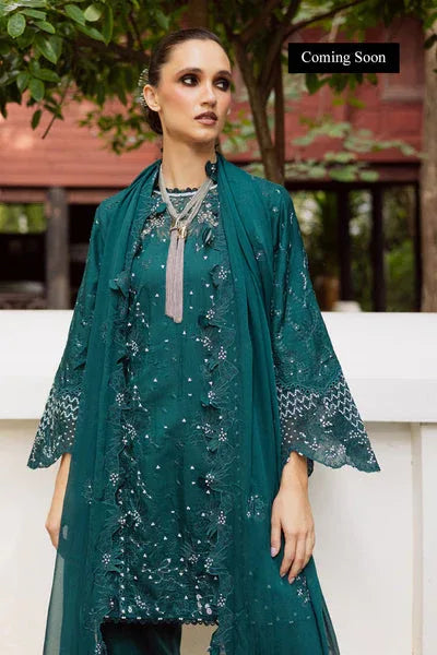 Marjjan | Lovella Winter 25 | MEV-44 B (ZINC) - Rang-e-Khaas