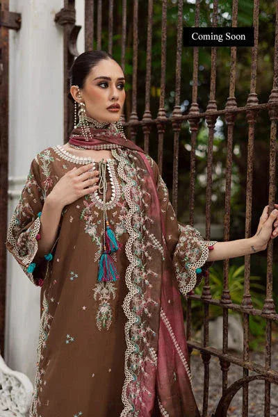 Marjjan | Lovella Winter 25 | MEV-47 B (COFFEE) - Rang-e-Khaas