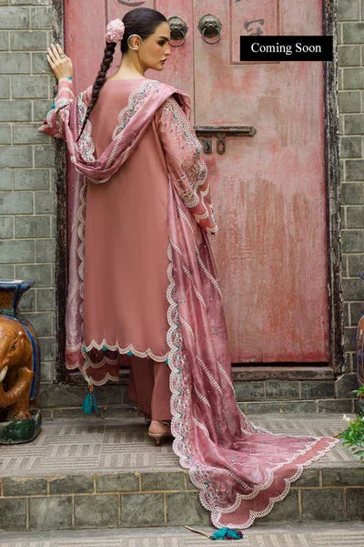 Marjjan | Lovella Winter 25 | MEV-47 A (PINK) - Rang-e-Khaas
