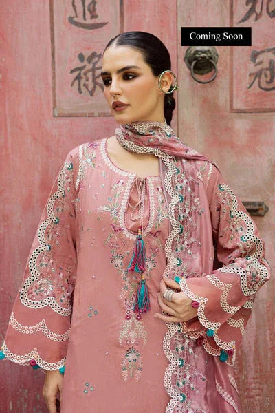 Marjjan | Lovella Winter 25 | MEV-47 A (PINK) - Rang-e-Khaas