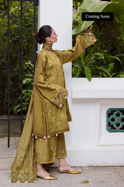 Marjjan | Lovella Winter 25 | MEV-43 A (OLIVE) - Rang-e-Khaas
