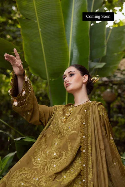 Marjjan | Lovella Winter 25 | MEV-43 A (OLIVE) - Rang-e-Khaas
