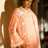 AJR Couture | Cutwork Edit'24 | Lucent