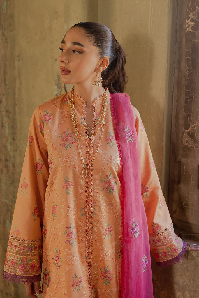 Rajbari | Summer Breeze 24 | B-2