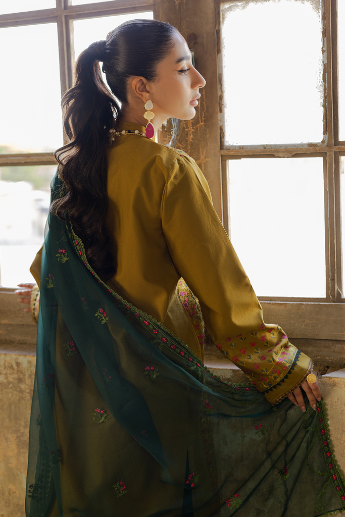 Rajbari | Summer Breeze 24 | B-4