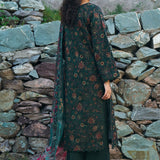 Ramsha | Riwaj Winter Collection | J703